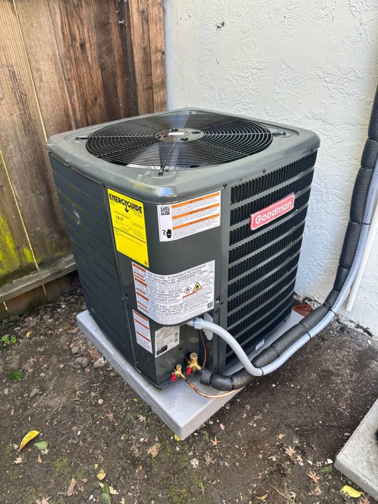 photo_4902376840065303466_y